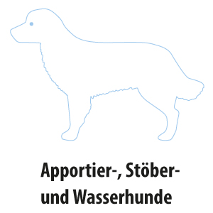 Hunderassen im Überblick