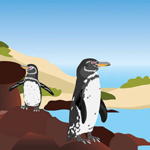 Expedition zu den Pinguinen