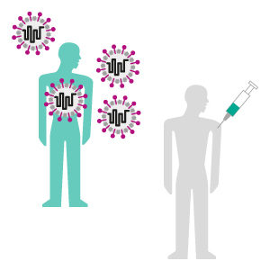 So funktioniert ein RNA-Impfstoff