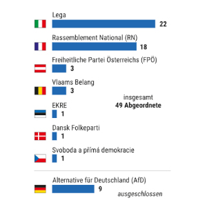 Fraktion Identität und Demokratie