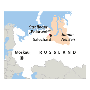 Straflager Polarwolf