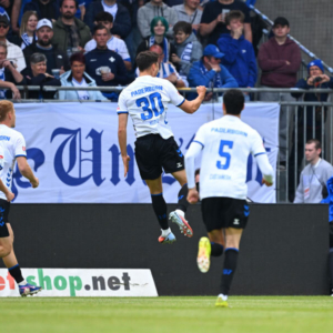 Bundesliga Relegation - Alte Widgets