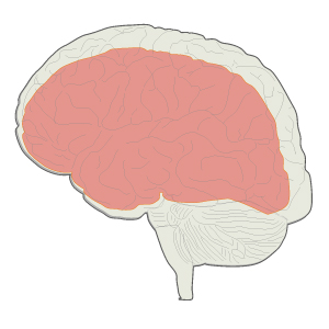 Alzheimer – Krankheit des Vergessens