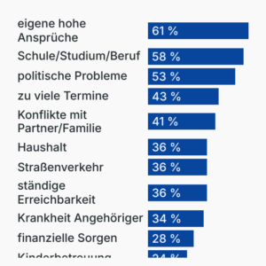 Was führt zu Stress?