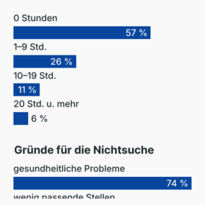 Umfrage Jobsuche im Bürgergeld