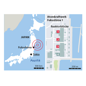 Die Atomkatastrophe von Fukushima