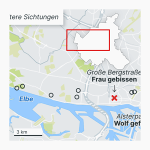 Wolfsangriff in Hamburg