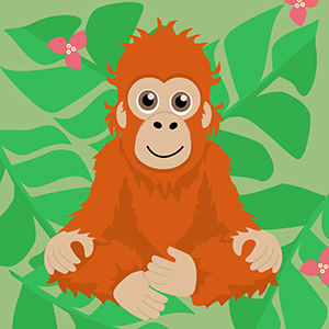 Finde die Orang-Utan-Babys